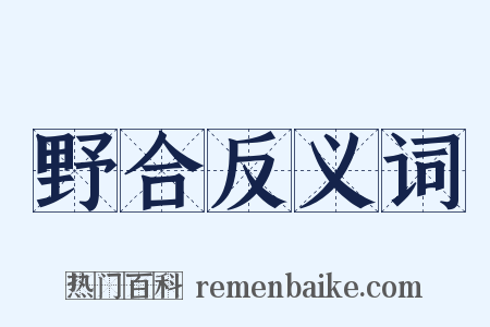 野合反义词是什么意思的图片